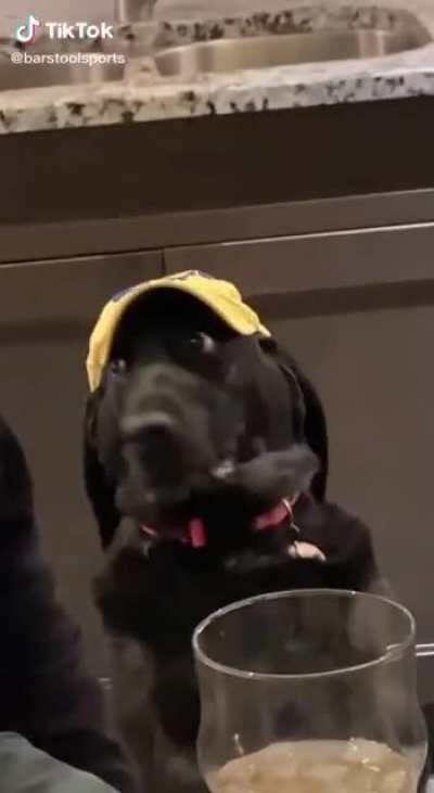 When politics are involved at Thanksgiving