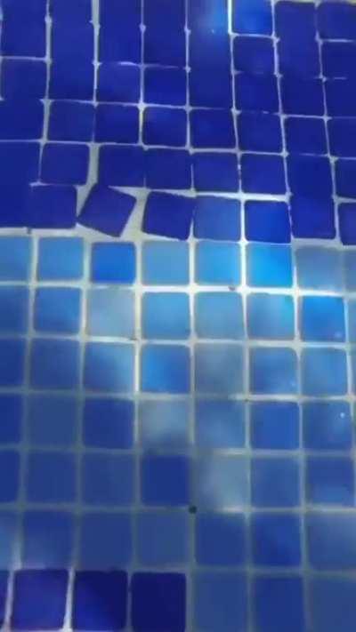 😡🤬🫧🫧😠🤬🫧