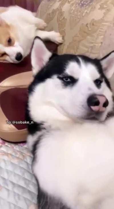 The best way to celebrate Friday