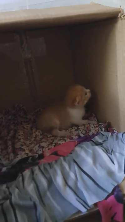 When your crimes are to heavy to carry:  