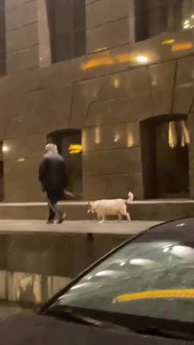 Просто дед с собакой