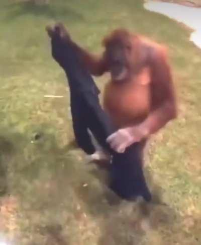 Rare footage of Jeremy Clarkson robbing a man for his jacket