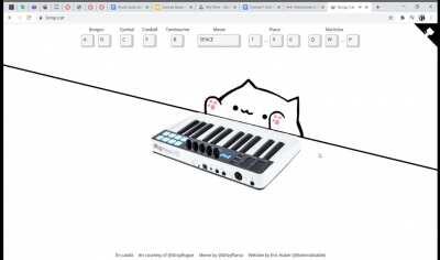 bongo cat