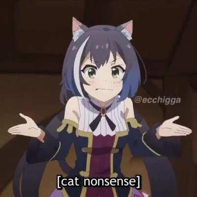 JUST SOME CAT NONSENSE