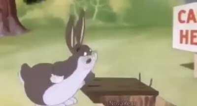 The moment at which medium chungus became big chungus