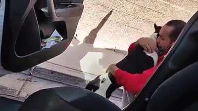 Owner reunites with dog that was missing for 12 days.