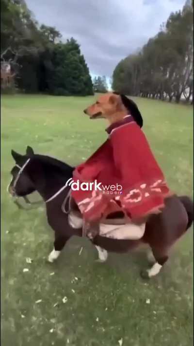 A guy recorded the moments he went on a journey with his dog, whom he taught to ride a horse