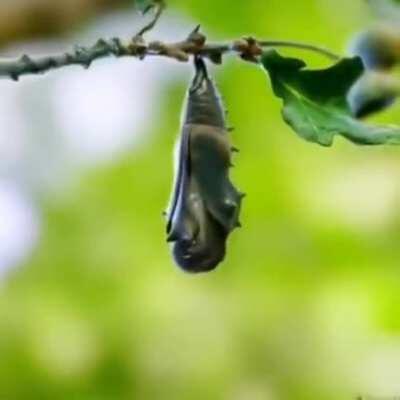 Красота природы