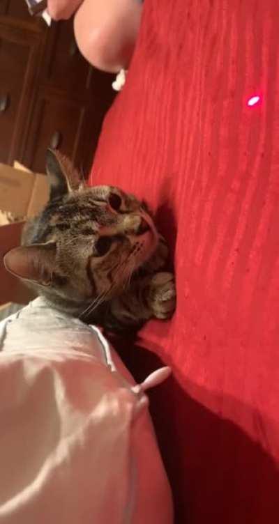 Smitty has an interesting 