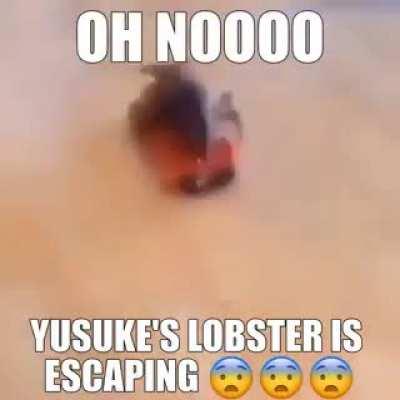 Yusuke lobter no!!!!!