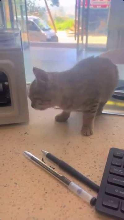 Closed yet? No? I'll just..