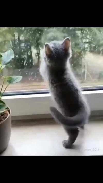 The first snow in his life💖