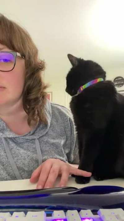 My first void, my first tapper. I love it so much. 🥹