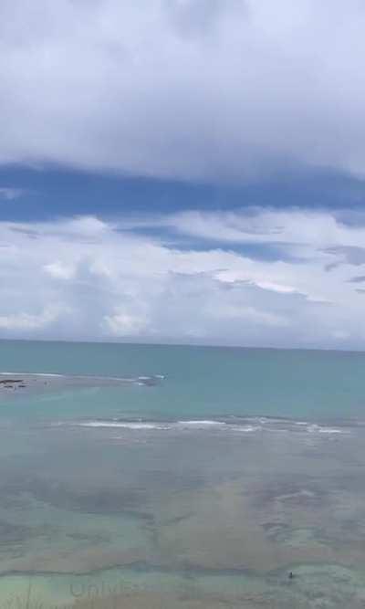 Fernanda Coser | @eufekonrath