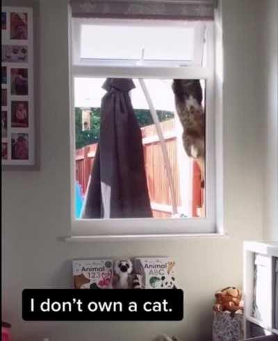 Терпение и труд всё перетрут