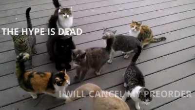 Dice employee visiting the sub