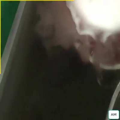 Japanese on their way to extinct all the fish🇯🇵🇲🇰🇯🇵🇲🇰🇯🇵🇲🇰