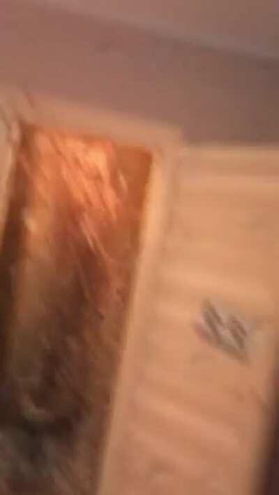 Tavana nasıl sicabilecegimizi buldum