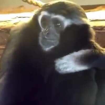 just found out r/ape is private. need a moment.