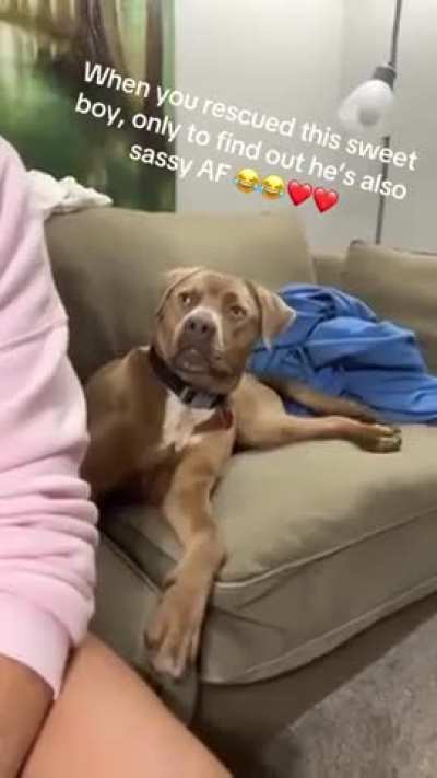 His little woofs are so cute 🥺