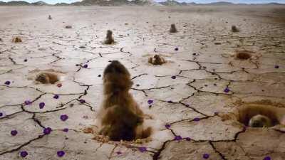 God Is A Woman (Vocals Only)