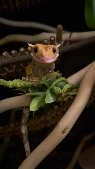 Such a precious baby