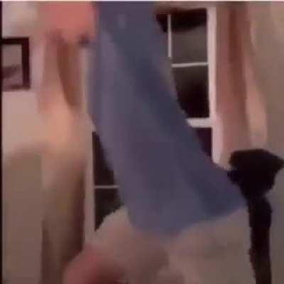 Upvote or I will throw hampter