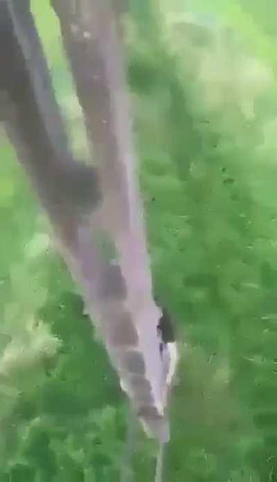 Touching high voltage wires after getting high on amphetamine