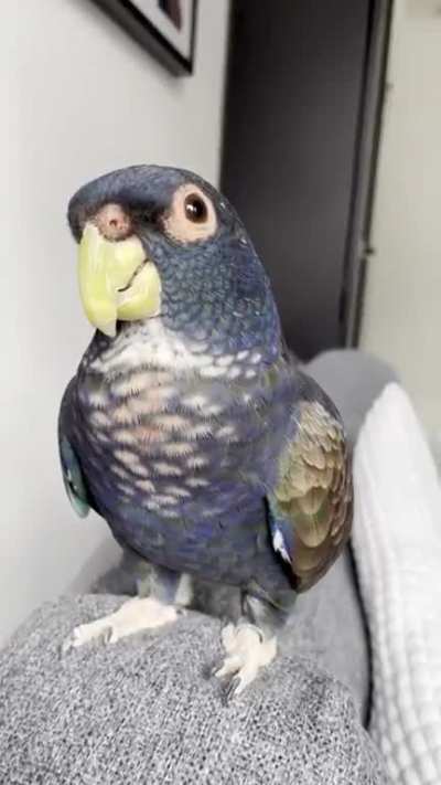 Enjoying some scritches 🤗