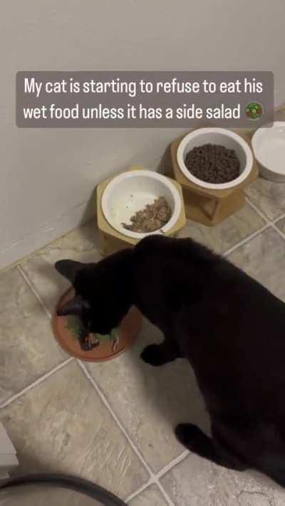 Cats needs a side salad to go with wet food
