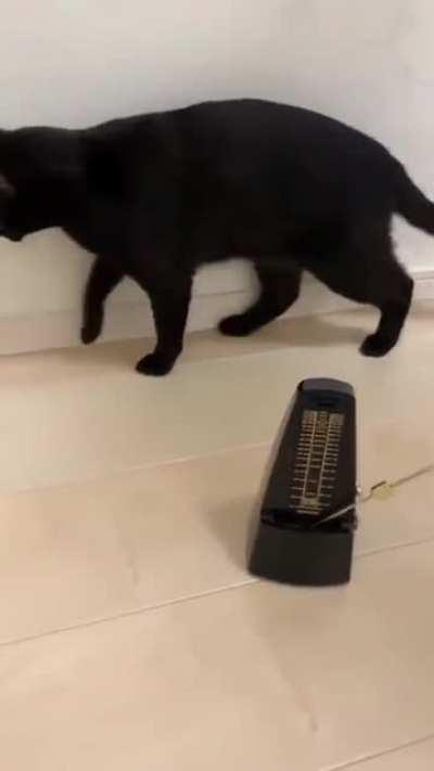 Метроном и нервы