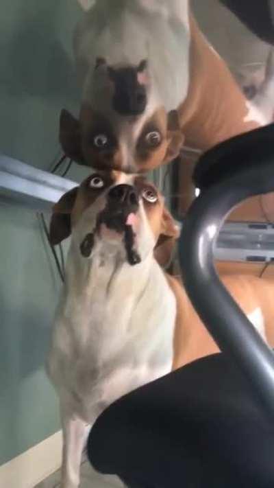 Hey Dude, What's up?