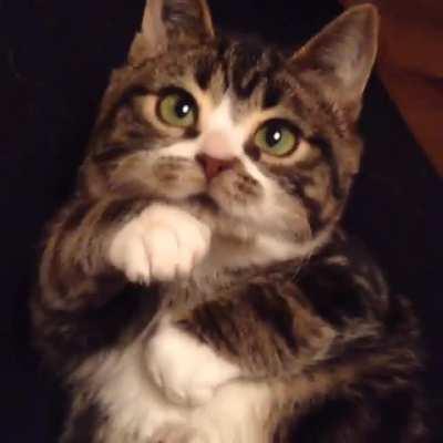 Well, please give me!