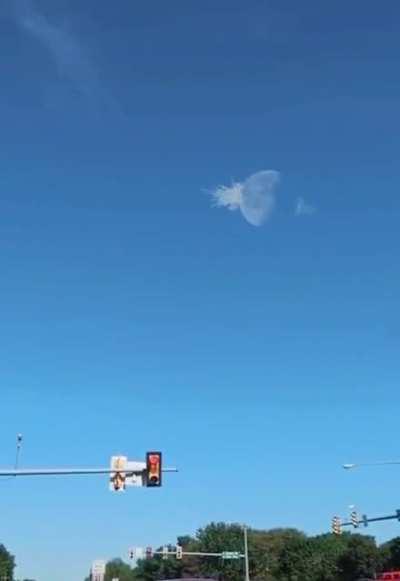 Because why not? 2020 is not over yet...