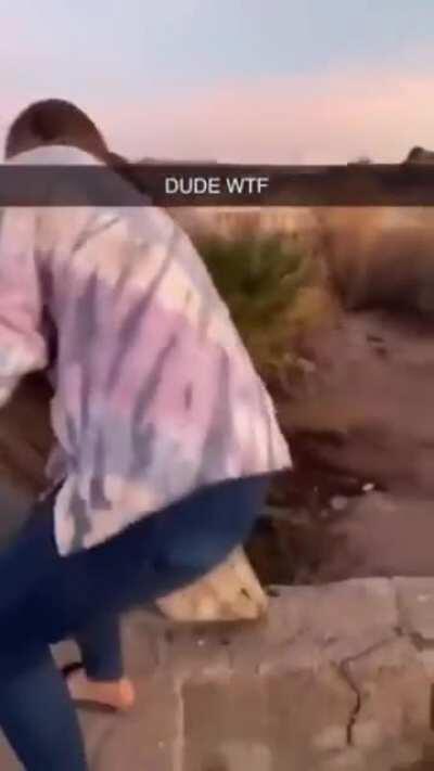 Throwing a tree into the lake