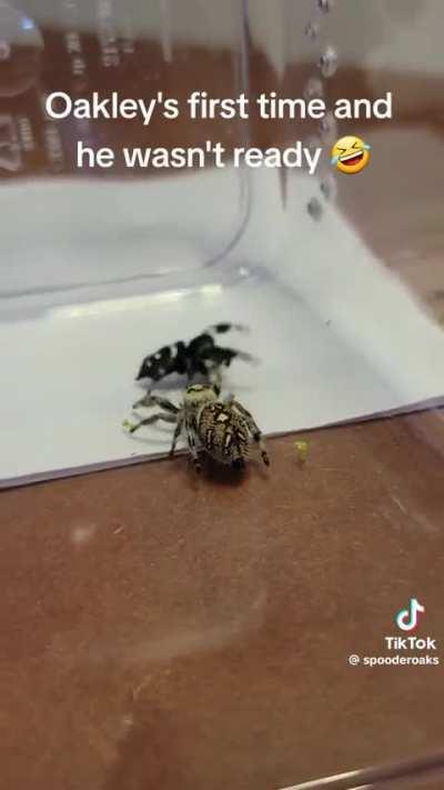 Oakley didn’t expect to get that far