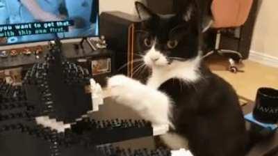 Just a quick tap, on her own nose?