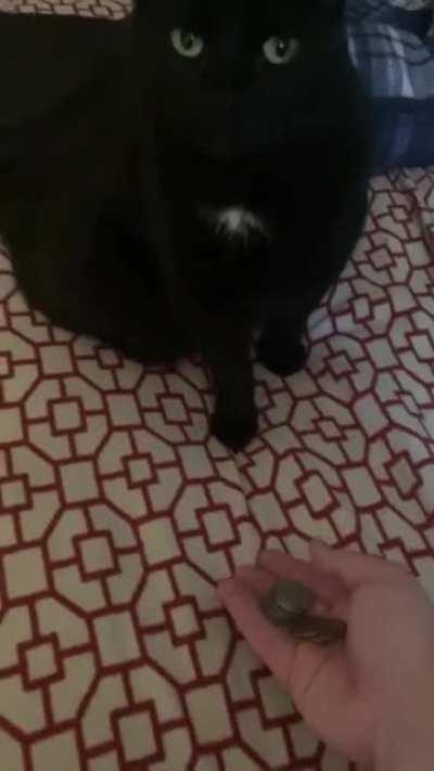 Filmed whilst tripping on skooma gummies