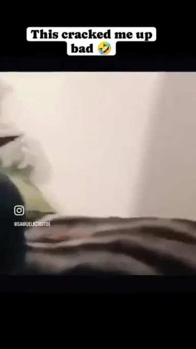 False teeth with False smile