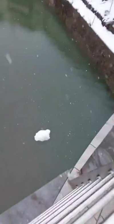 Had some fun with the snow