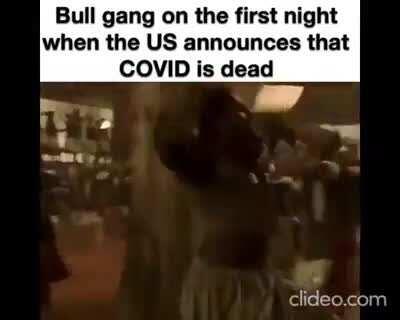 Funniest Meme Stock Clips