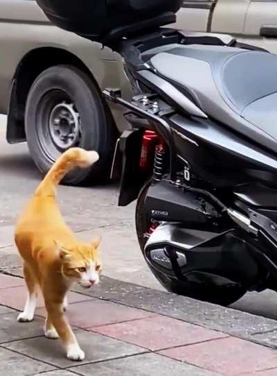 I Fuck that scooter 😈