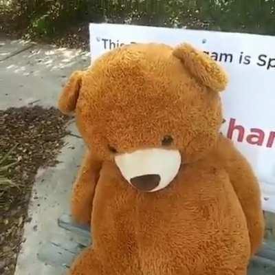 Mr. Grizzly Mr. Grizzly