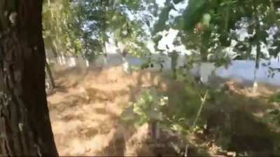 Ukrainian soldiers organized an ambush on a Russian BMD-2. During the attack, they opened fire with grenade launchers