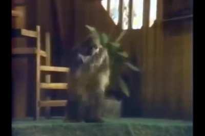 Rich Evans In The Holiday Special