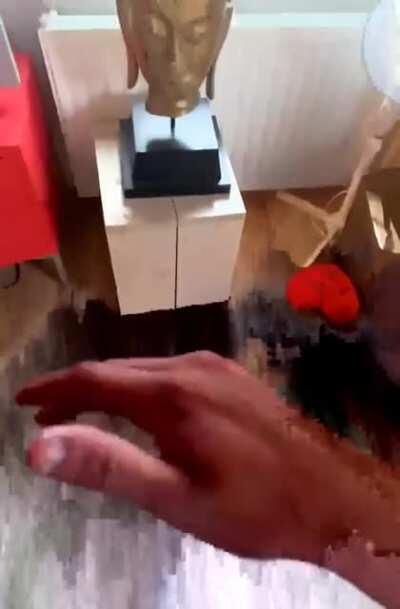 Losing touch with reality