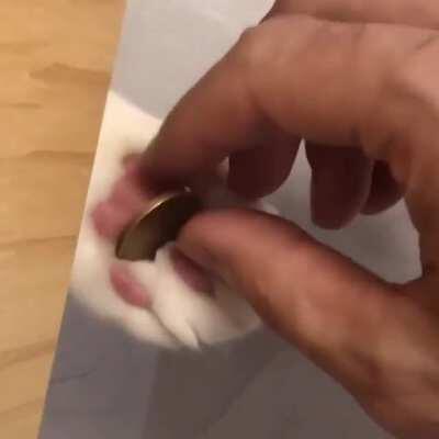 Khajit takes coin :3