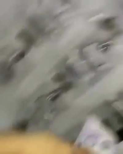 Next level Halloween dress