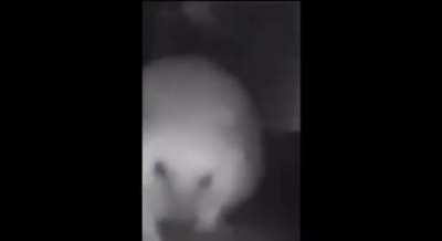 Toda vez que eu perco no argumento eu mando essa