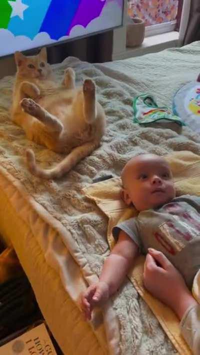 Cat copies baby to get attention.